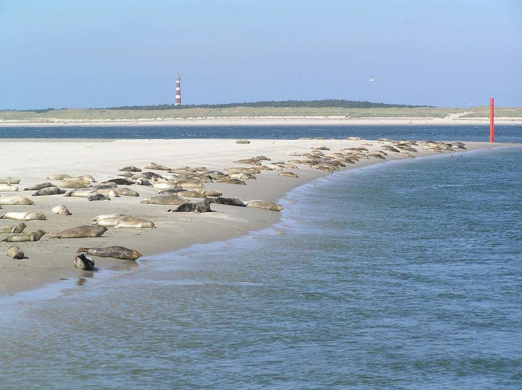 Hostel Sier aan Zee Hollum  Exterior foto